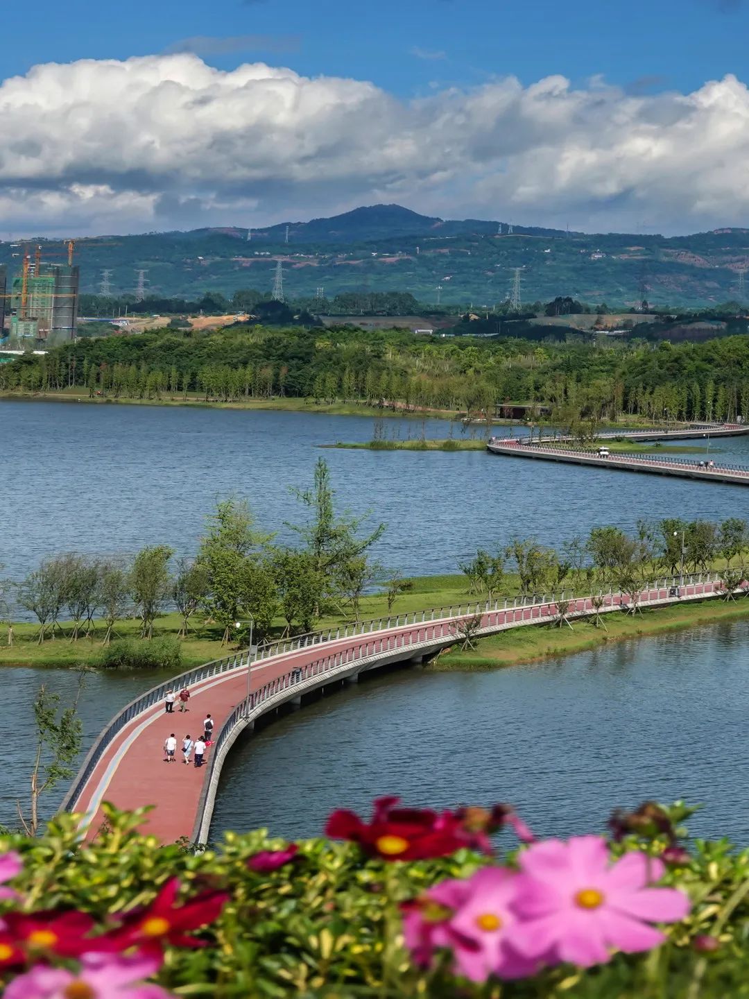 成都十大绿道旅游线路推荐,成都绿道最佳观赏地点