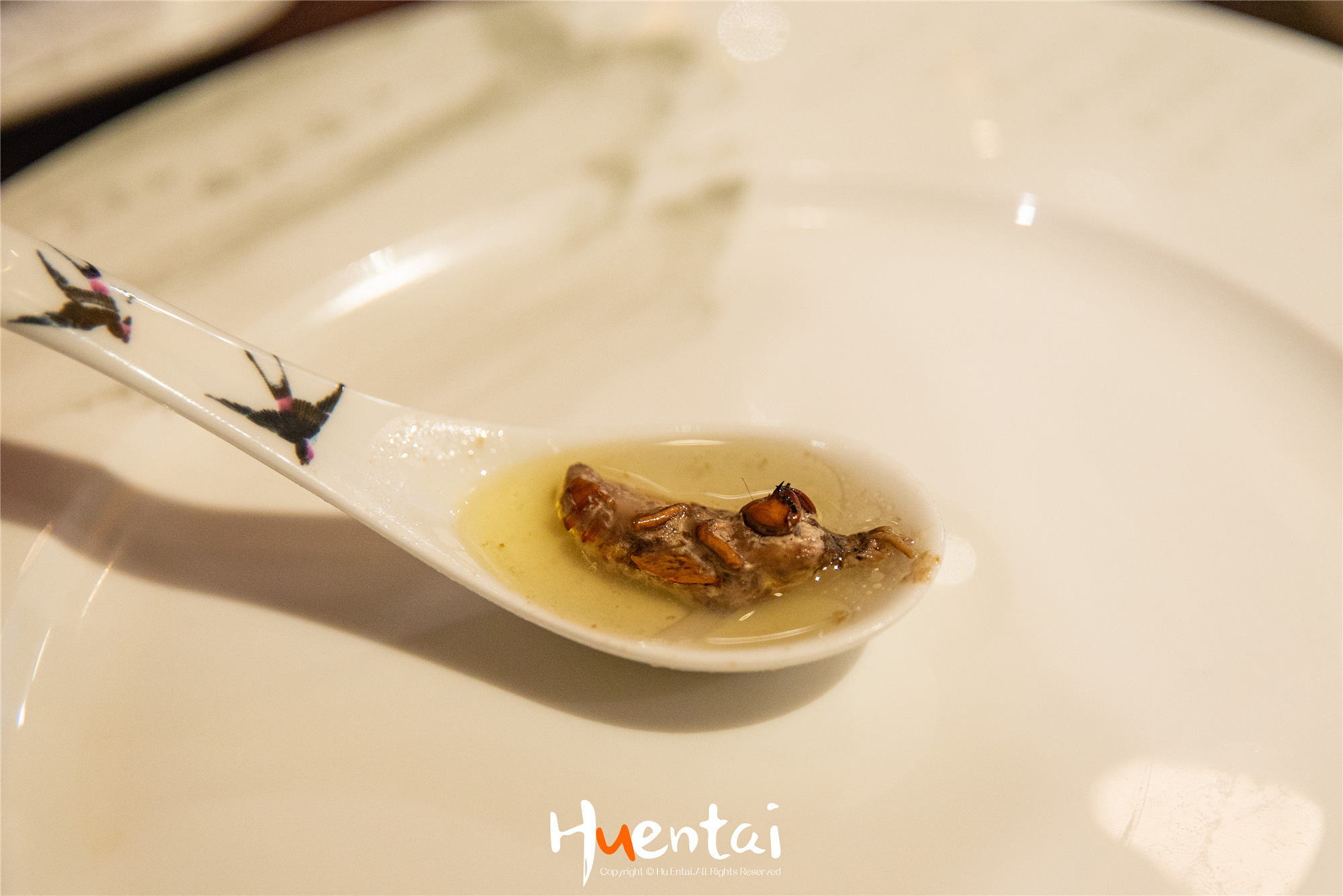 住星空帐篷吃土灶饭，看孔雀开屏，这个520就要来点不一样