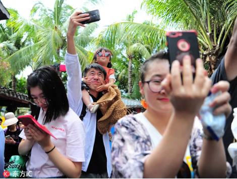 假装在巴黎系列,假装在巴黎怎么样