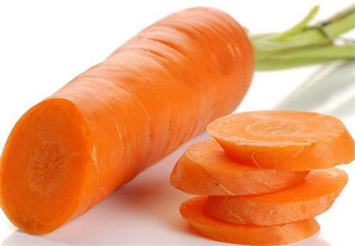 哈士奇生理期注意什么