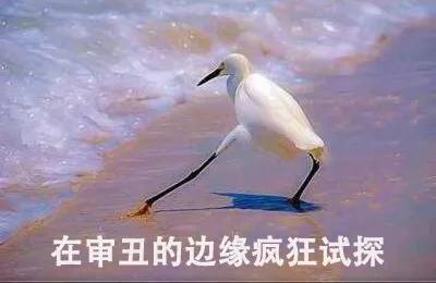 鼠年限定gucci,gucci鼠年限定款