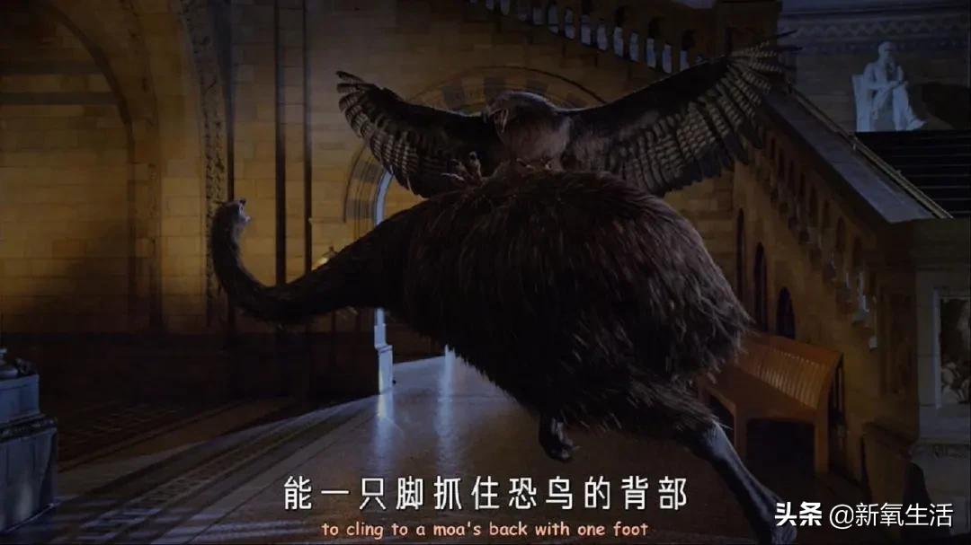 豆瓣评分9.0以上的剧集,豆瓣评分9.5以上的电影值得一看