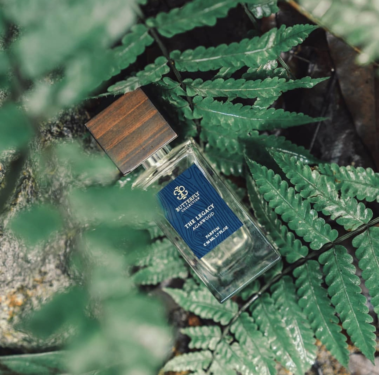 曼谷普吉岛购物攻略,泰国购物去曼谷和清迈哪里好