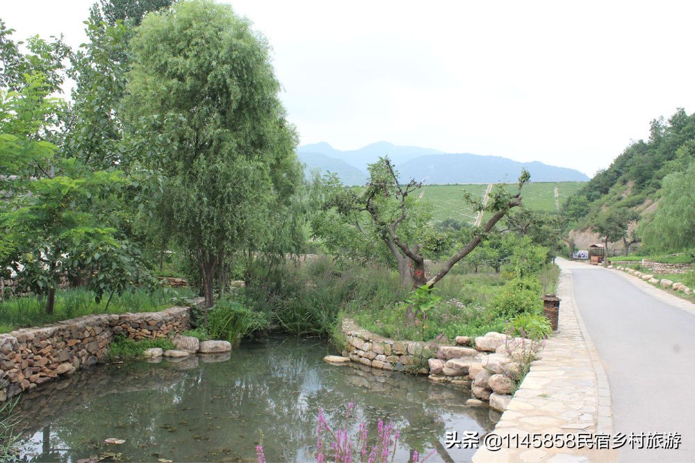 蓟县下营镇红果树农家院每天价位,蓟县哪个农家院最好孩子玩的多