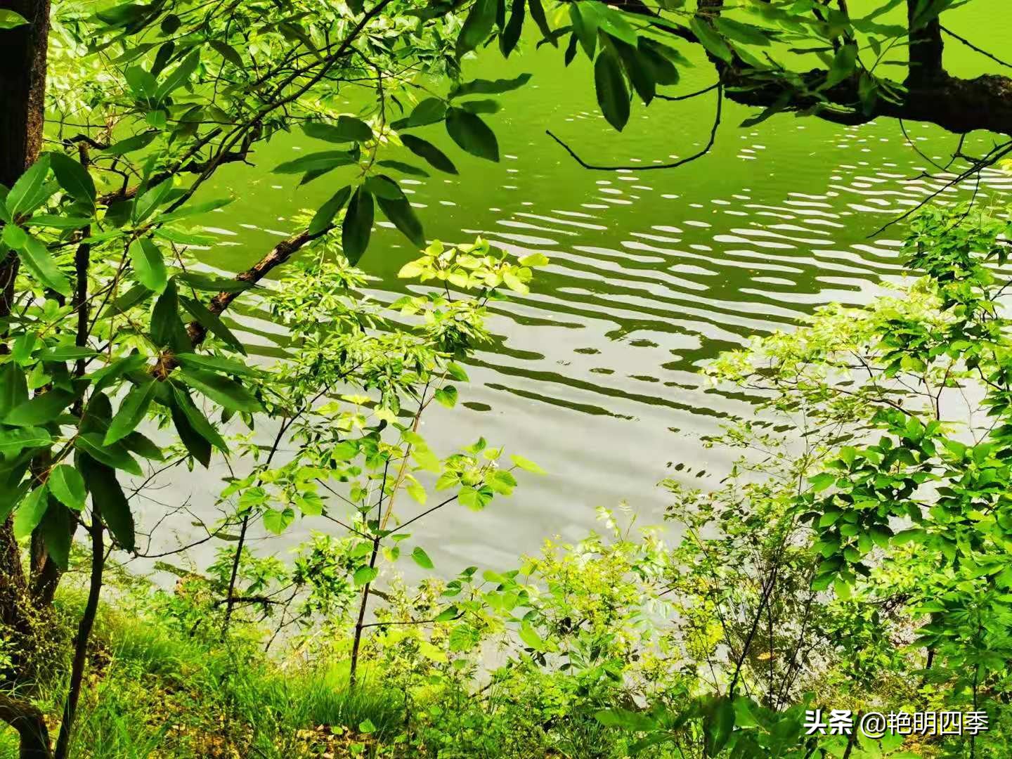 平顶山画眉谷旅行,鲁山县画眉谷视频