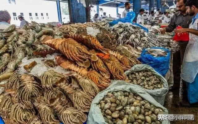 迪拜为什么成全球最富的地方,迪拜是最富有的国家吗