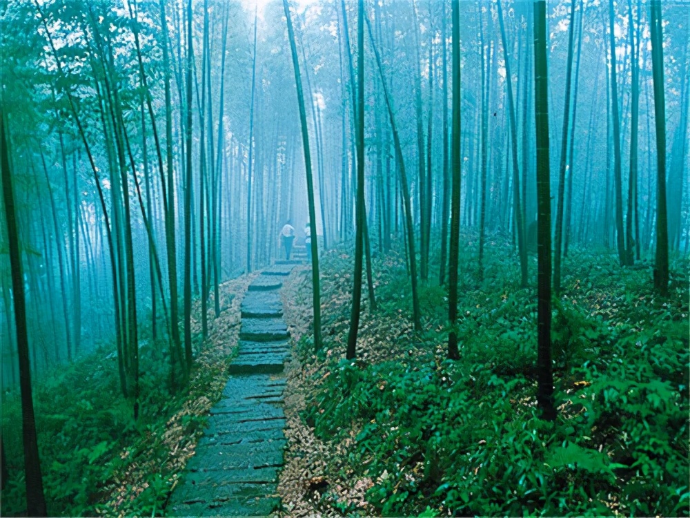 贵州遵义的a级景区有哪些,贵州遵义5a级旅游景点