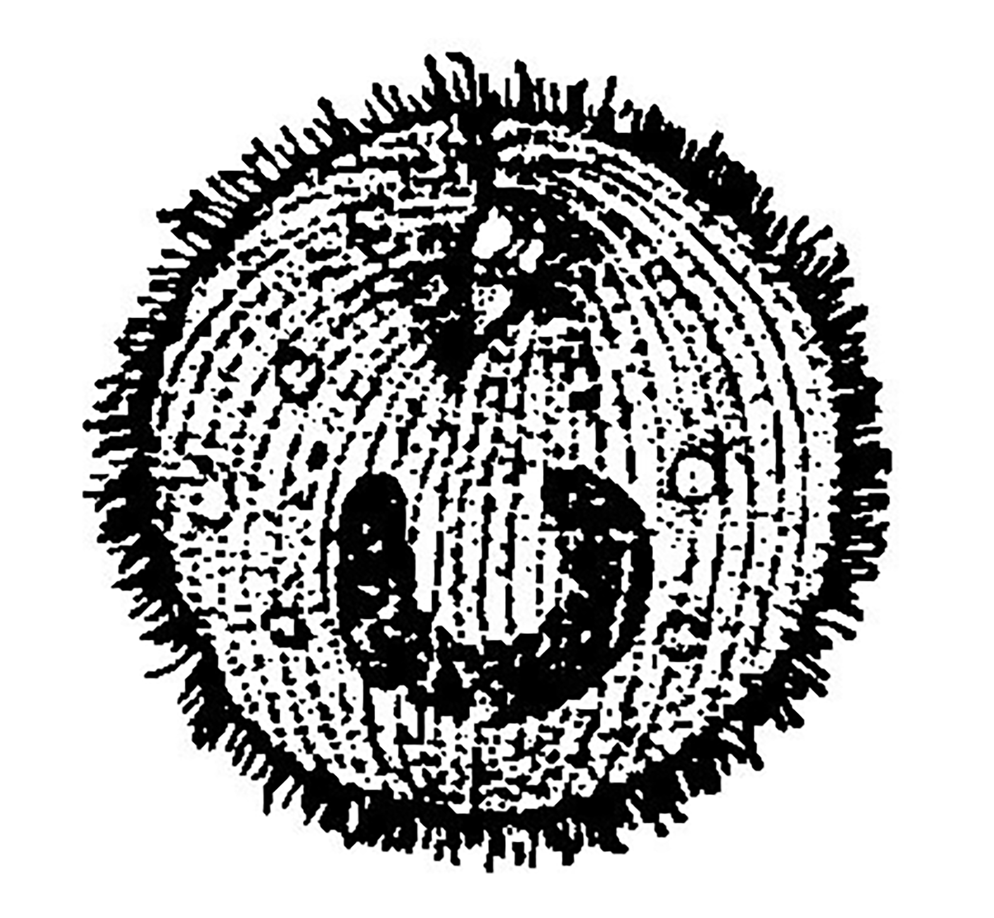 锦鲤白点病治疗三天后可以喂食吗,锦鲤金鱼白点病图片