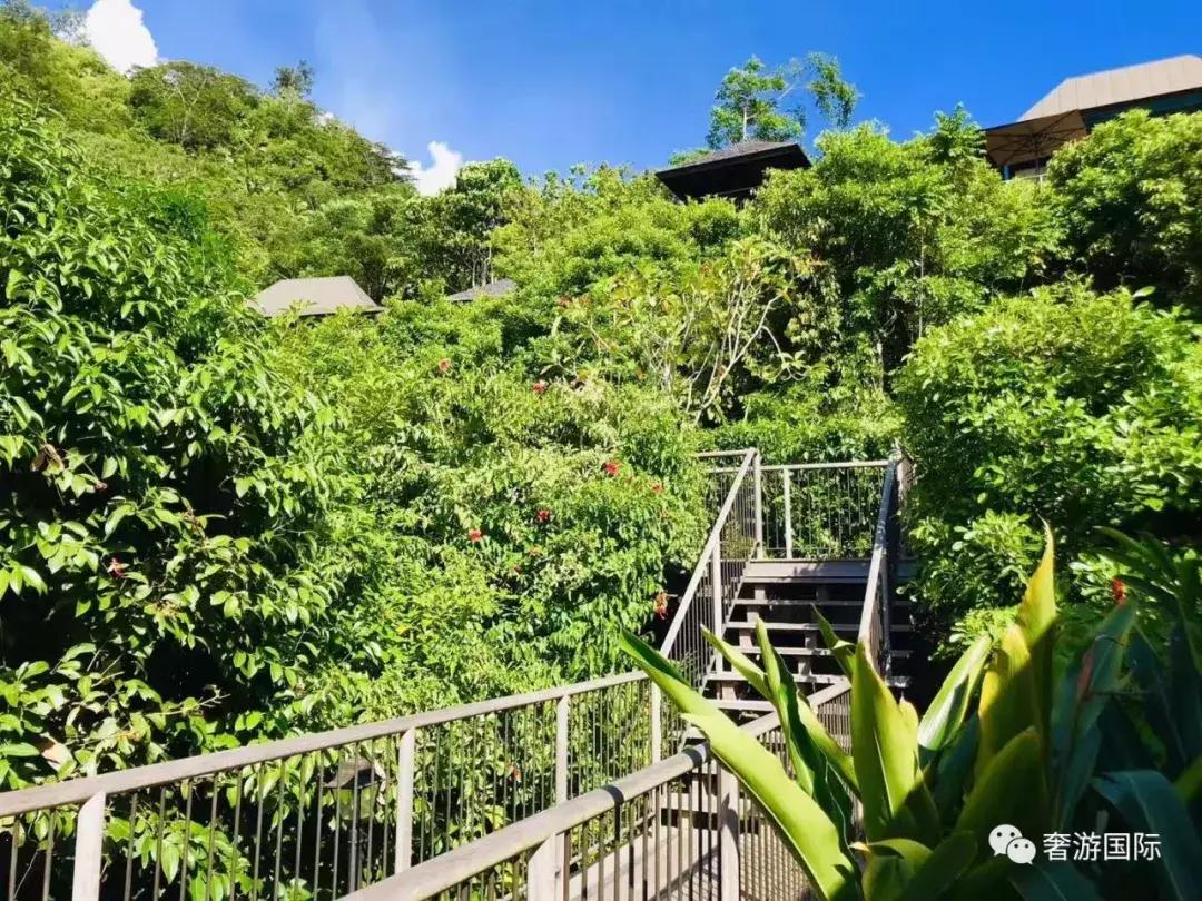 大溪地和塞舌尔岛哪个漂亮,和大溪地齐名的海岛