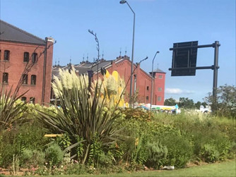 日本留学青春,日本留学男高中生简介