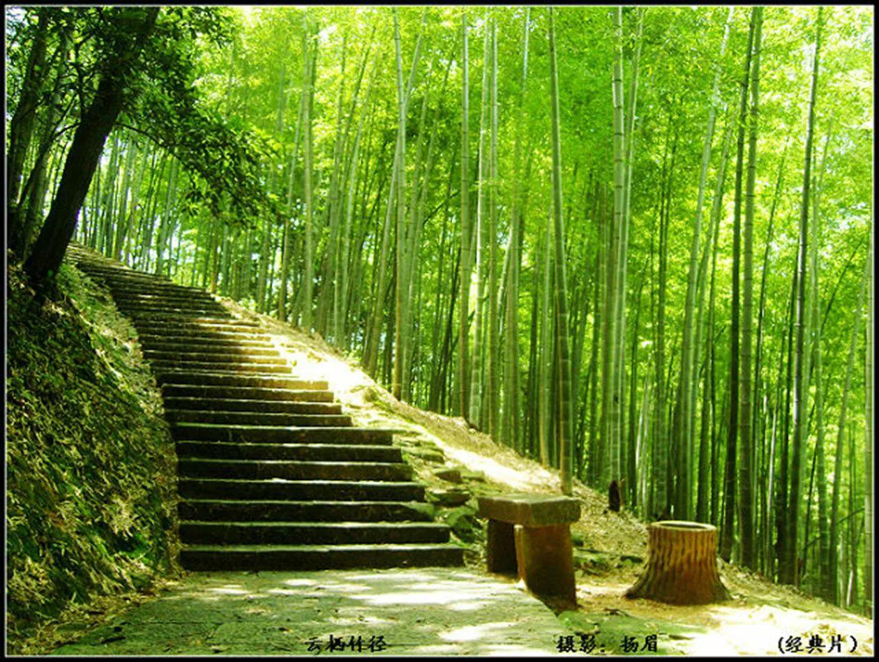 燕子楼戏曲,经典粤剧燕子楼