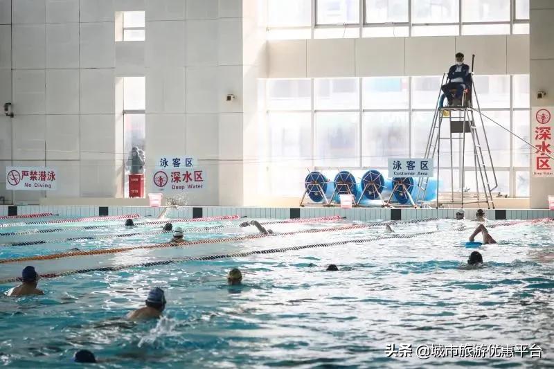 收藏游泳视频下载,冬季游泳大全