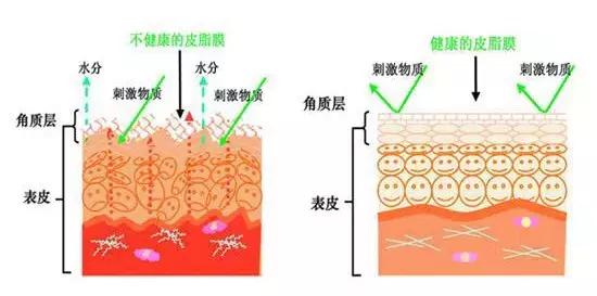 40岁还能变回20岁的容颜吗,40岁怎么样才容颜不老