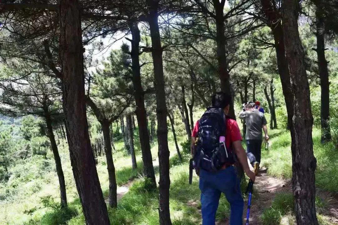 南太行著名天梯盘点,你走过几个