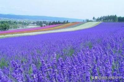 韶关2日周边游玩景点推荐,韶关浪漫旅游景点