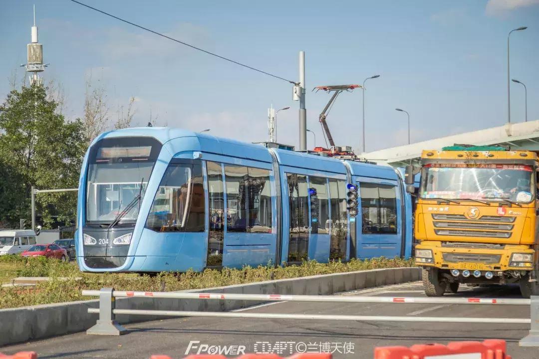 从蓉2来|天天看见“叮叮猫”跑来跑去的,它到底在忙什么啊?