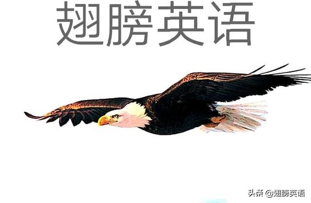 满分作文35个高级句型,高级作文40个句型