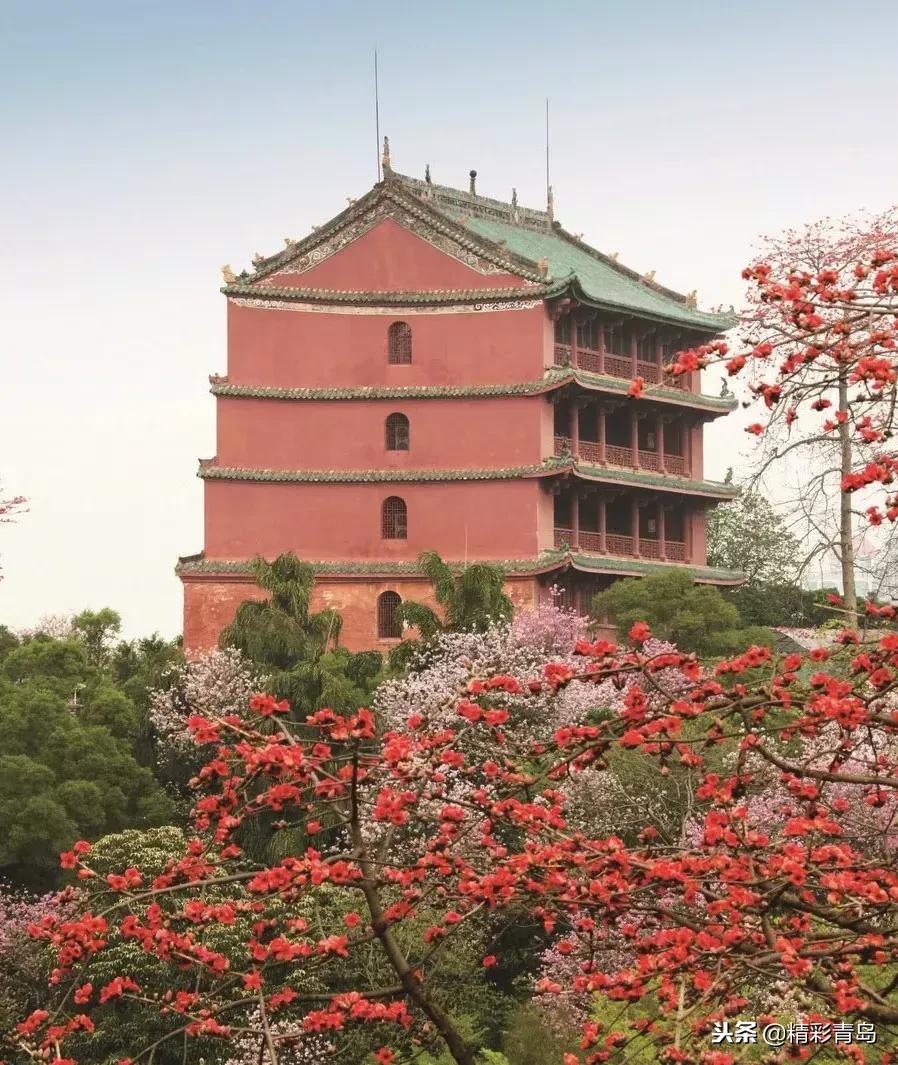 什么是麻雀定律,什么是应激反应表现有哪些