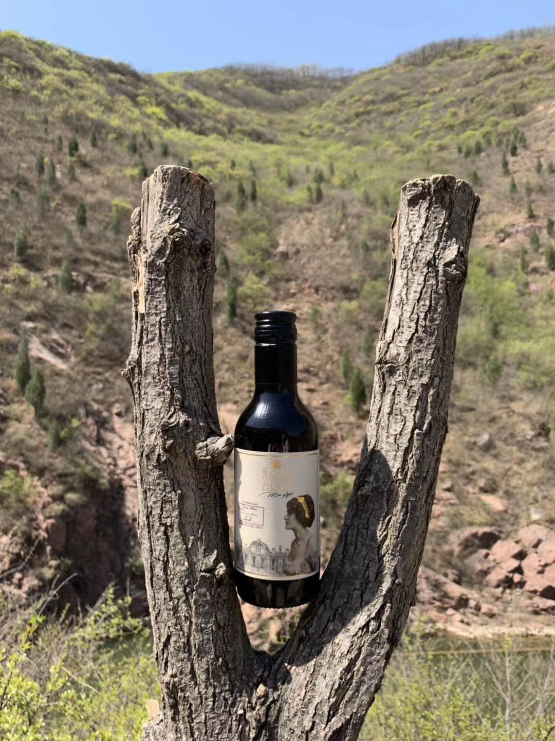 低卡蜂蜜减肥法,红酒减肥法十天20斤