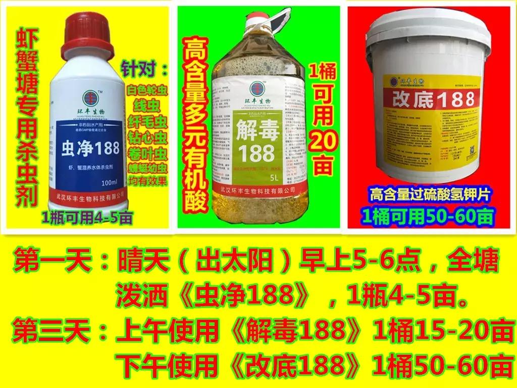 塘里死的龙虾,小龙虾进笼死与偷死的病因区别