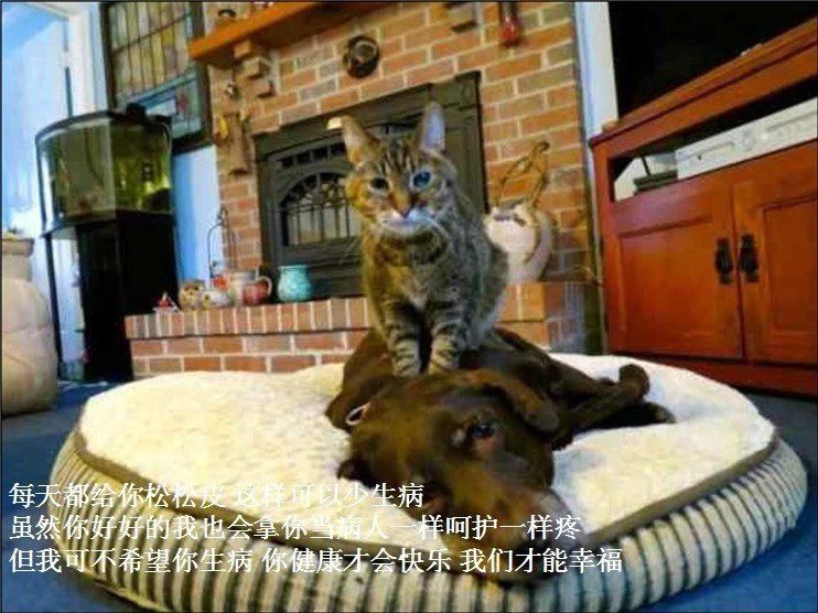 我只想说声爱你,只想再爱你一次