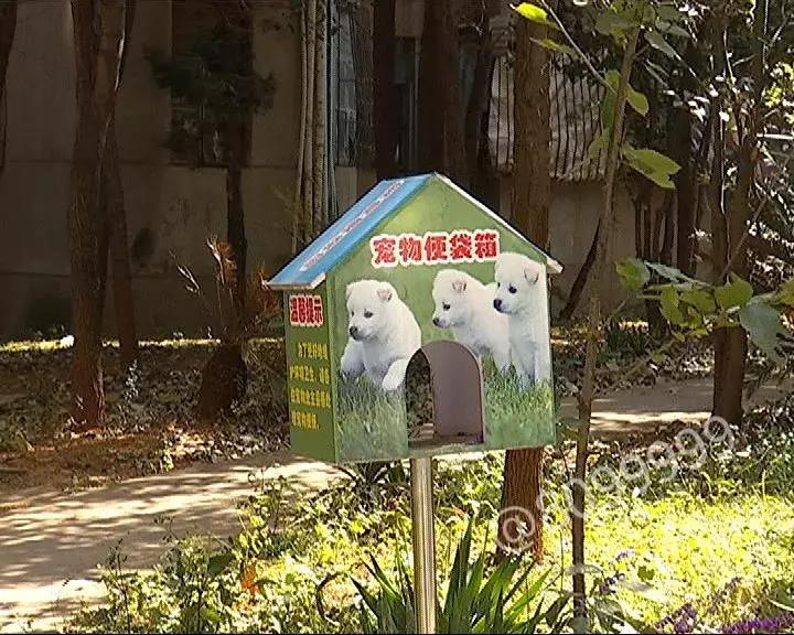 办了狗证有什么权利,狗证是一年一办吗