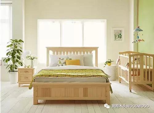 「树种介绍」软木中的贵族——日本桧木