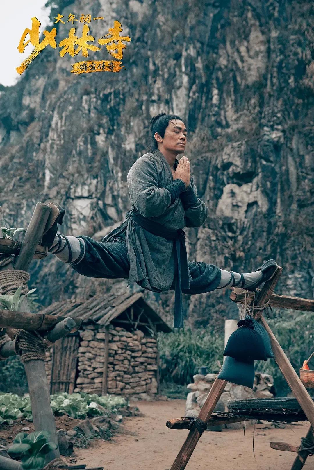 少林寺传奇之得宝记王宝强,王宝强为什么能进少林寺