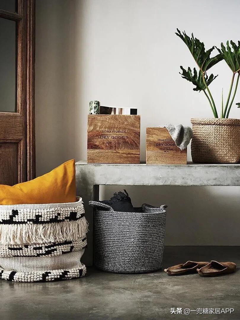 手残党绿植大全,给大家推荐几款超好养的绿植