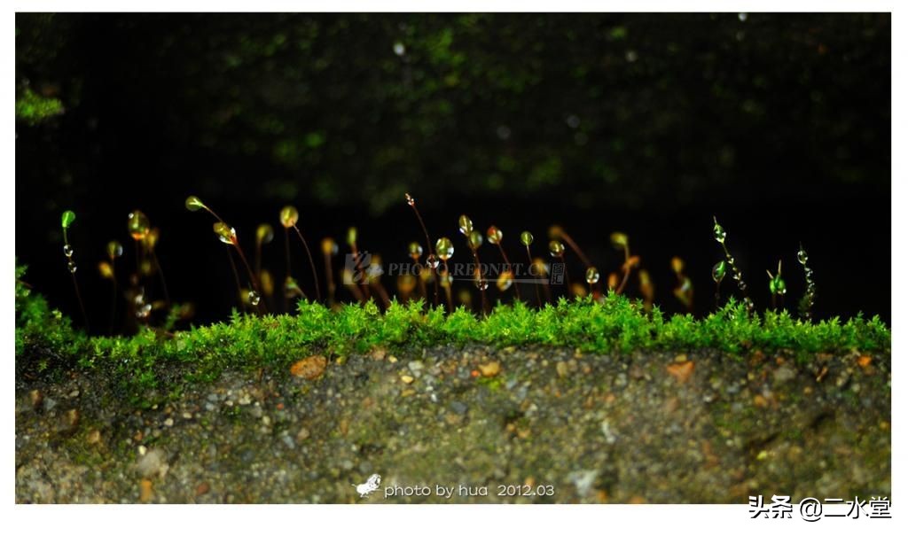 润物细无声的下雨视频,润物细无声全诗