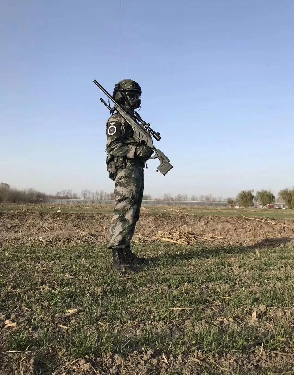 国产十大冷门狙击枪,国产高精狙cs-lr13