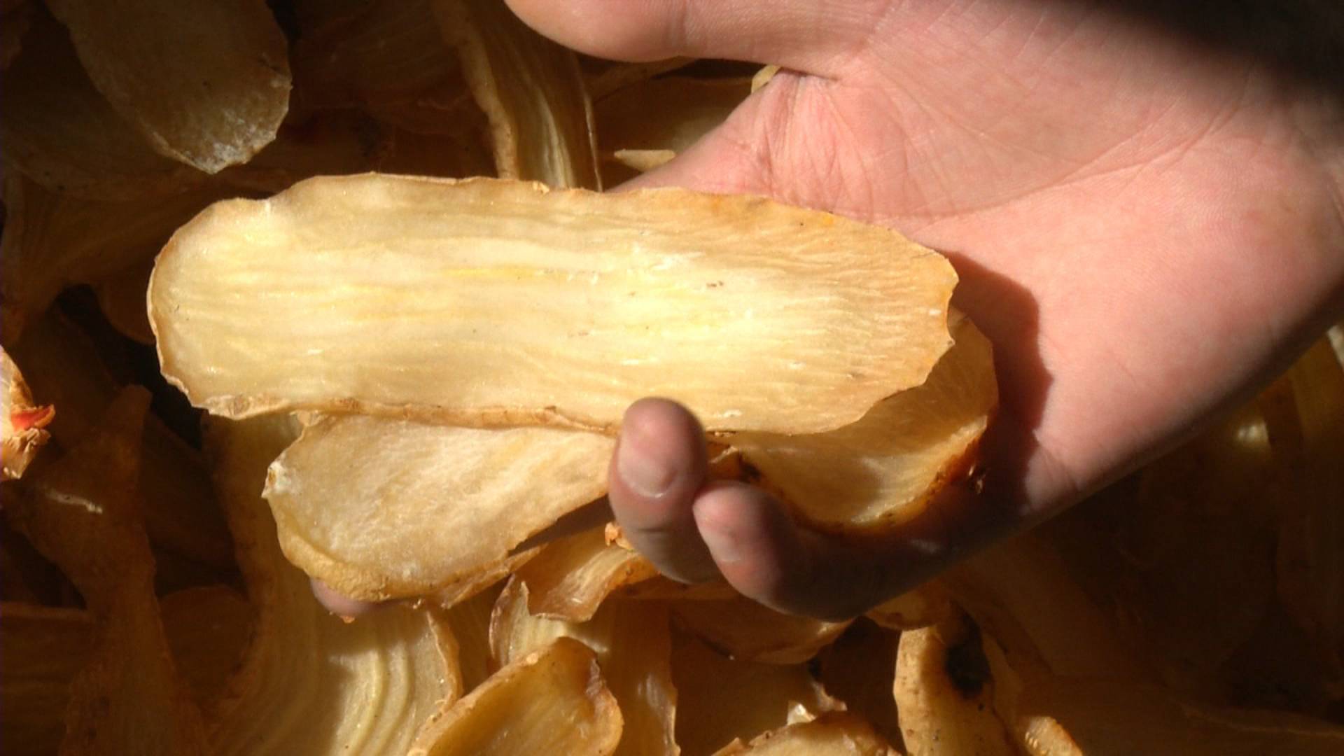 “药用宝库”里挖宝，品质超往年，价格上涨35%，乡亲好开心