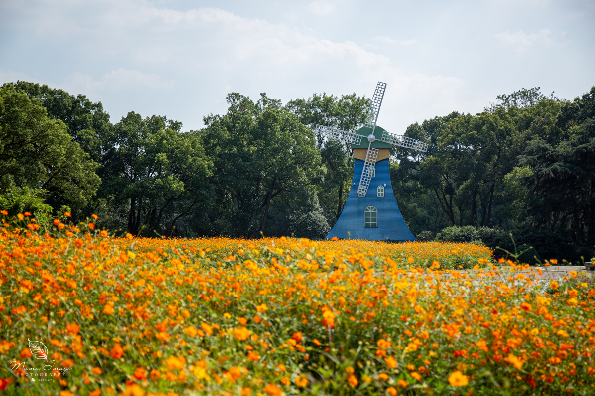 江南百年园林,江南私家园林所蕴含的人文情怀