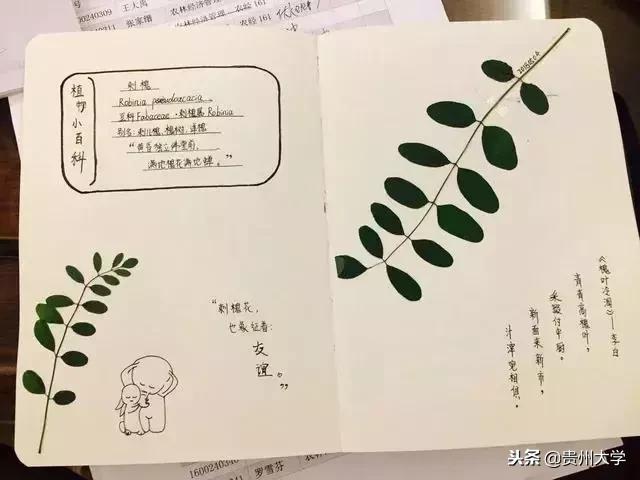 各科的奇葩作业,千奇百怪的作业