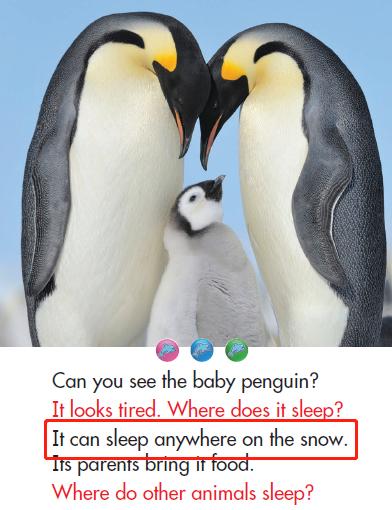 小学英语关于动物的课文,thewonderfulwildanimals绘本