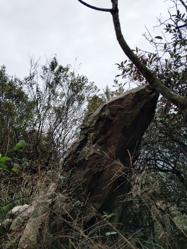 杭州市周末自驾游去哪里好玩,杭州出发周末旅游攻略