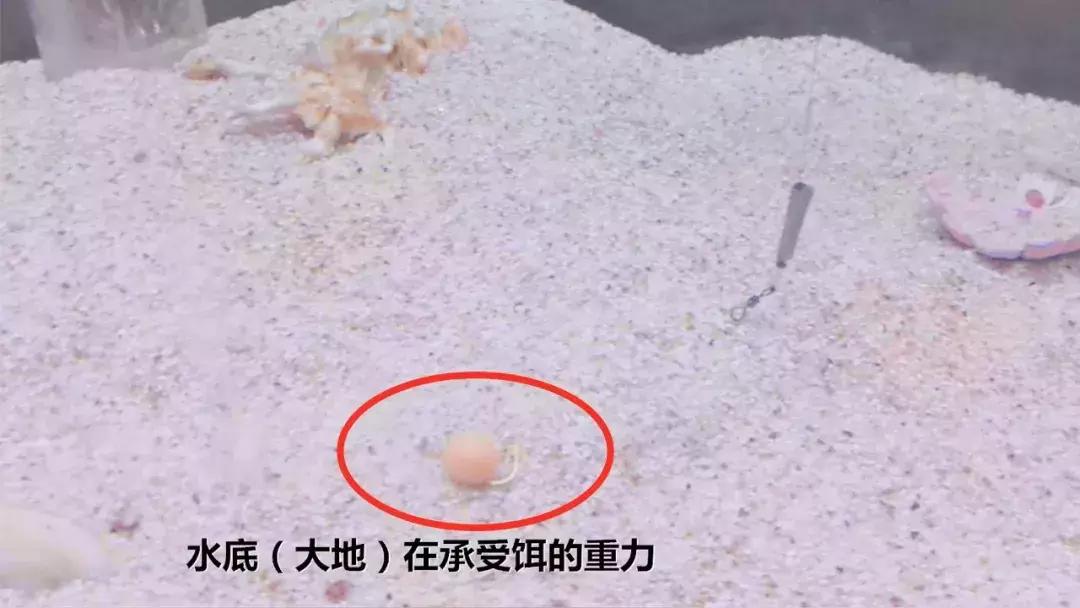 野钓调漂基础知识大全,野钓调漂最佳方法解读