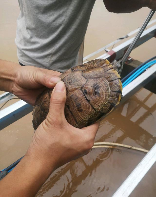 台州钓鱼扔垃圾,浙江台州市钓鱼