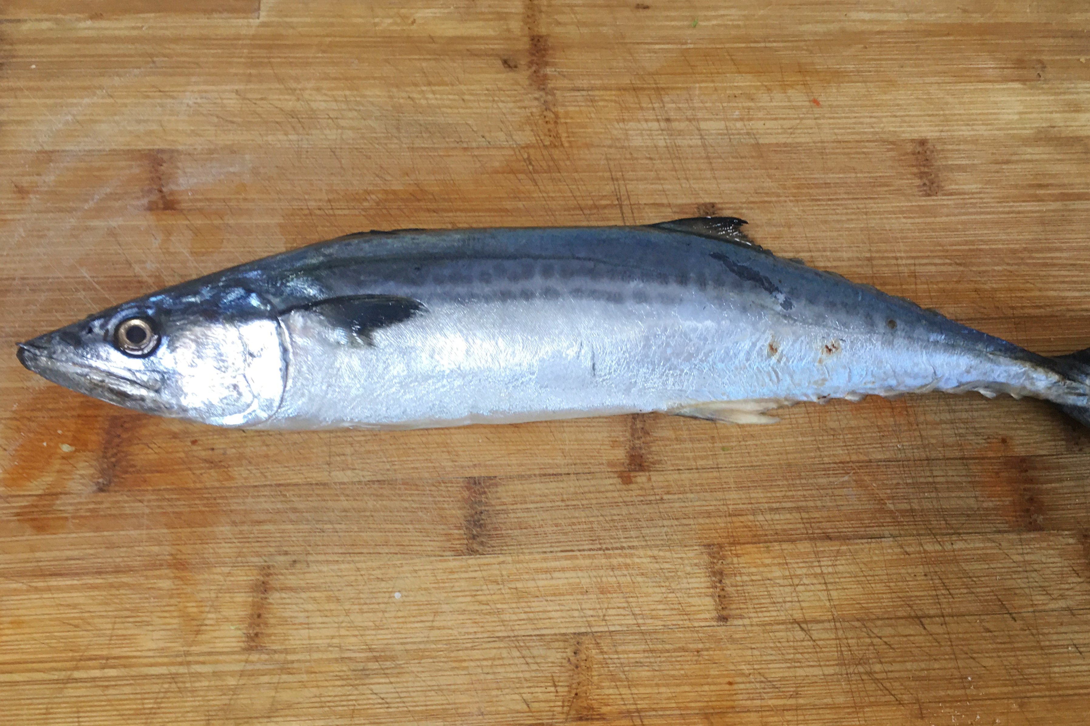 鱼吃不完怎么才能保鲜,鱼虾蟹过顿还可以吃么