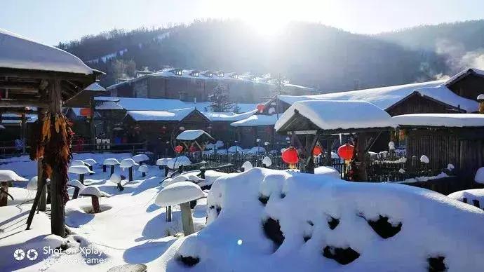 11月份的雪乡有雪吗,雪乡和新雪乡有什么区别