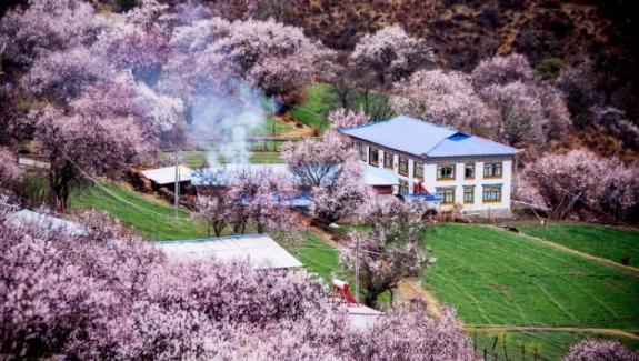 安徽省2019五个县,安徽省十大名市