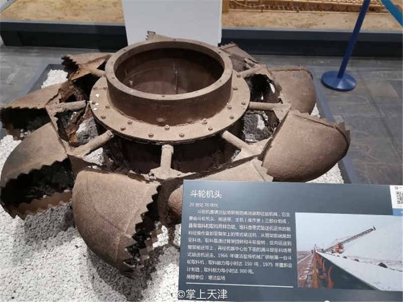 滨海生态城动物园,塘沽5块钱动物园