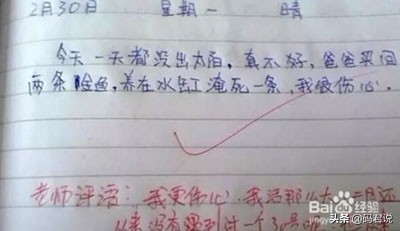 我的女儿因为我撕了她的笔记本绝食了怎么办?