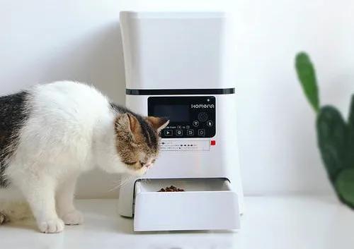 宠物产业博览会专场直播,天猫水族宠物类目怎么入驻