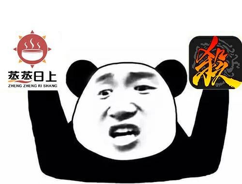 三国杀国战不臣篇怎么玩,三国杀新版国战不臣篇