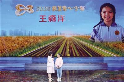 内乡雷锋学校小学,内乡雷锋学校