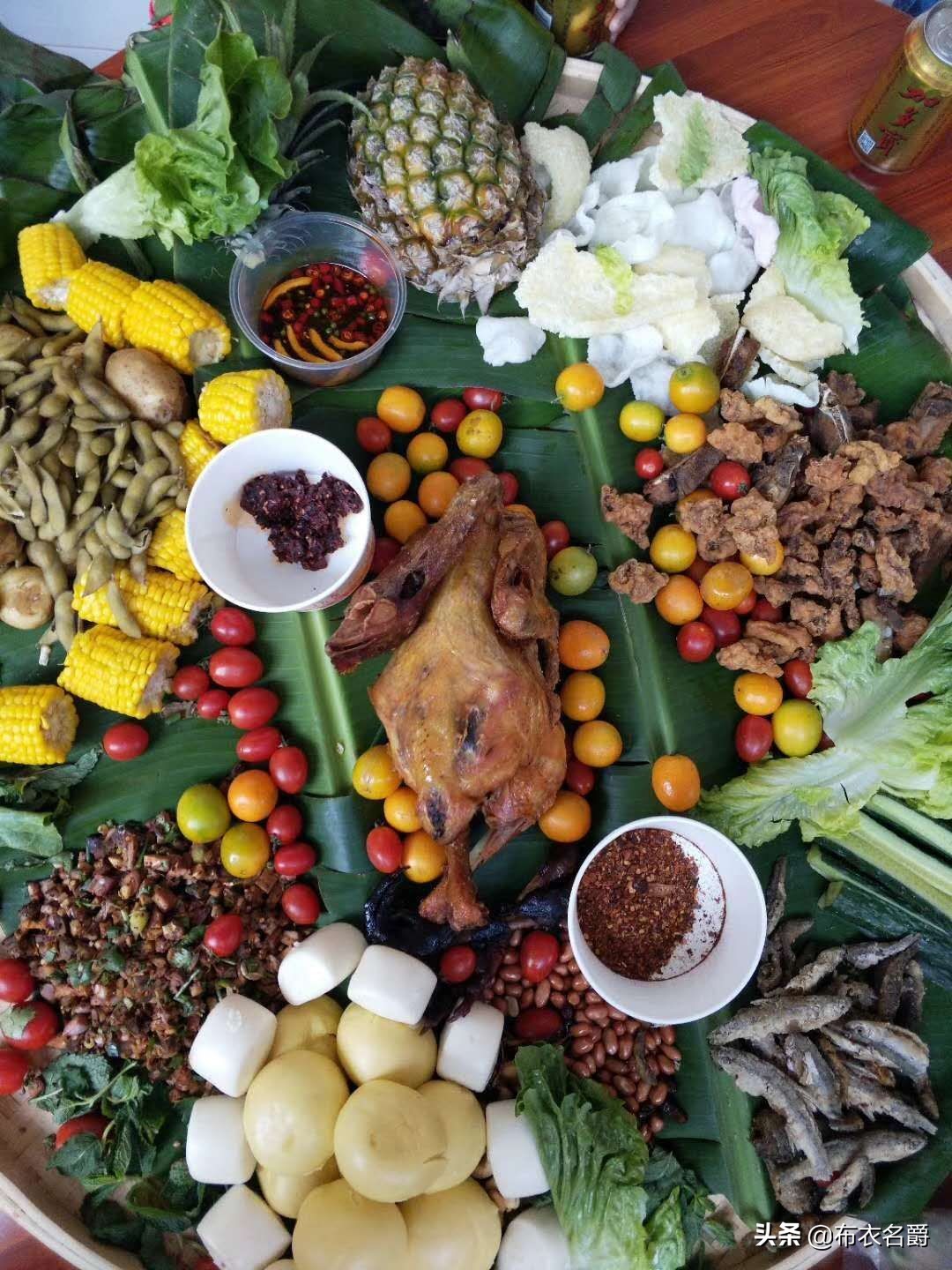 中兽医研究：中医药论治羊四季常见病