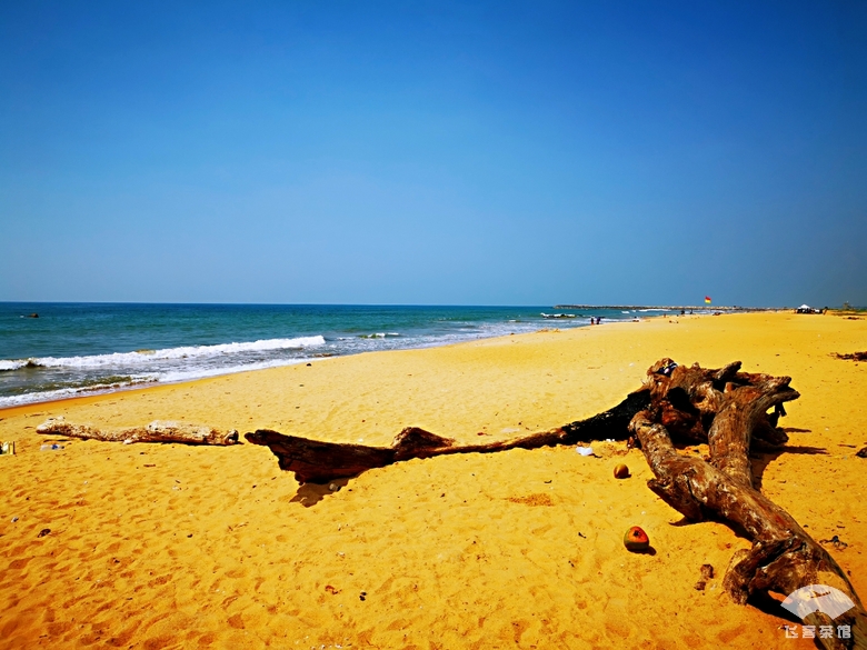 必须为亚航餐饮打call!椰浆鸡肉饭太惊艳了,真正的物美价廉