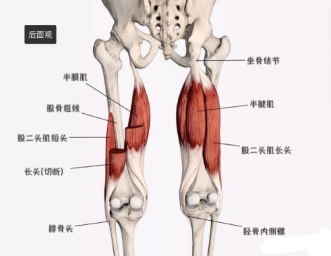 推拿治疗坐骨神经痛有效吗,推拿治疗坐骨神经痛效果如何
