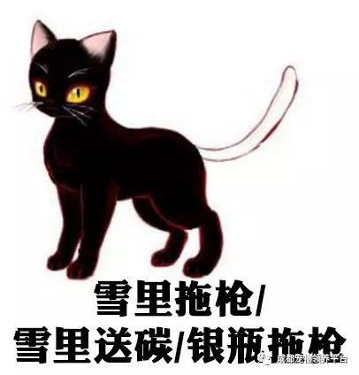 谁说土猫无名猫?快来围观古代猫谱,你家有没有镇宅神兽!
